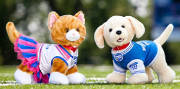 Build a Bear dog and cat soft toys